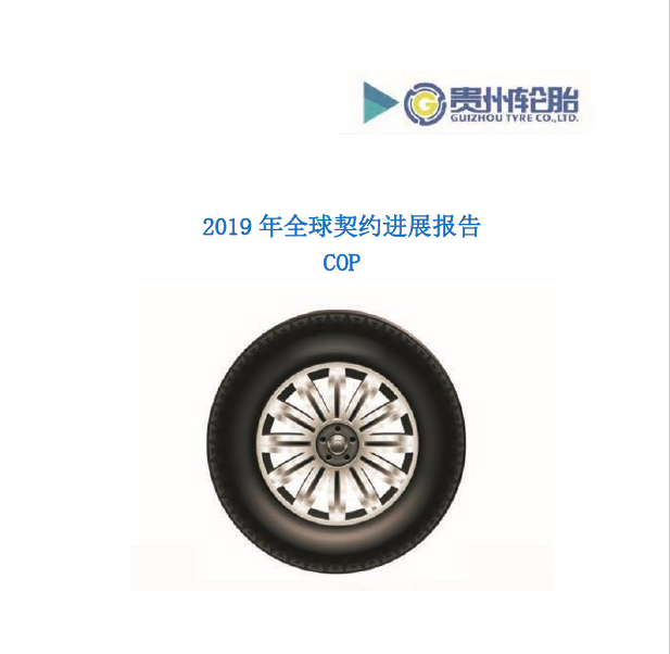 江南体育轮胎2019年全球契约年度进展报告COP